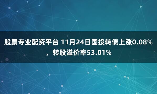 股票专业配资平台 11月24日国投转债上涨0.08%，转股溢价率53.01%