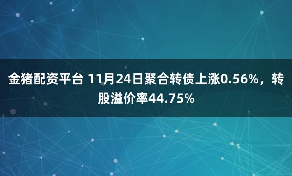 金猪配资平台 11月24日聚合转债上涨0.56%，转股溢价率44.75%