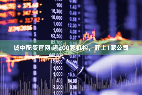 城中配资官网 超200家机构，盯上1家公司